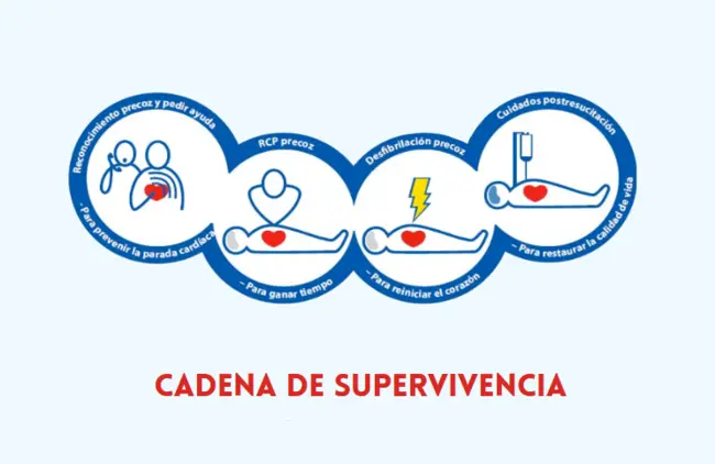 cadena de supervivencia